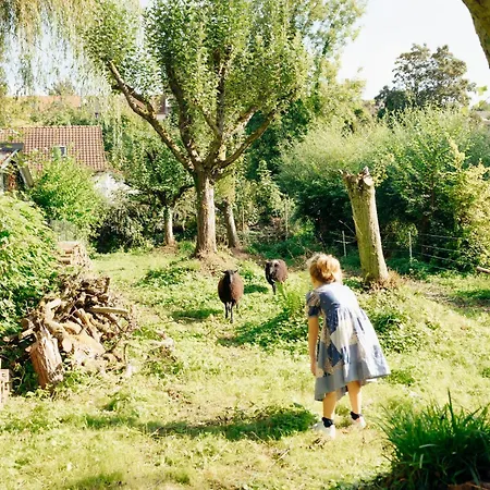 Si Va Bien Hébergement de vacances Long